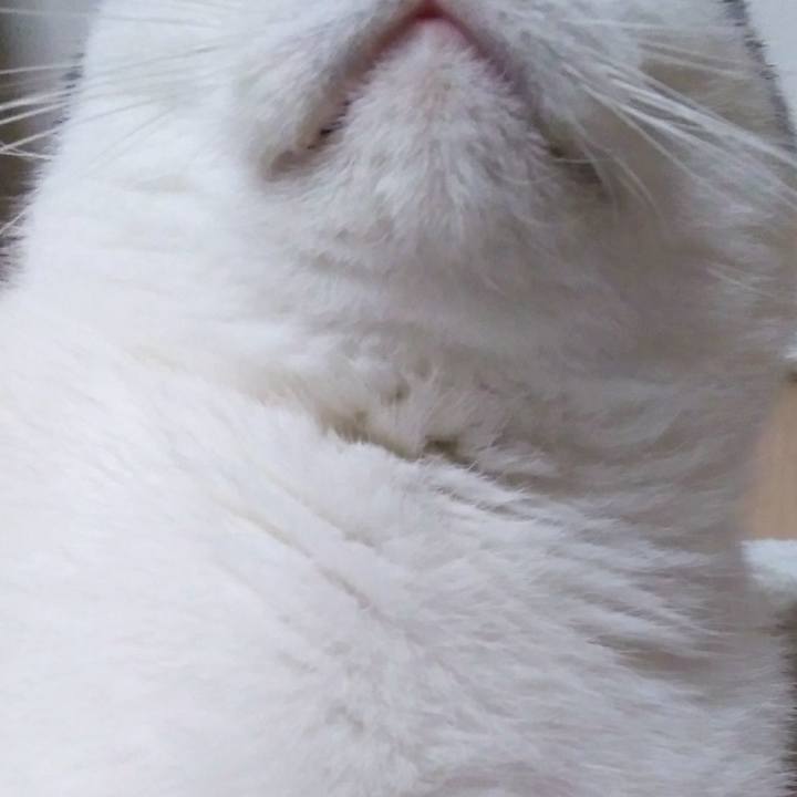 35d58976 8932 4d76 8b7b 517882e601b6 1554987742930