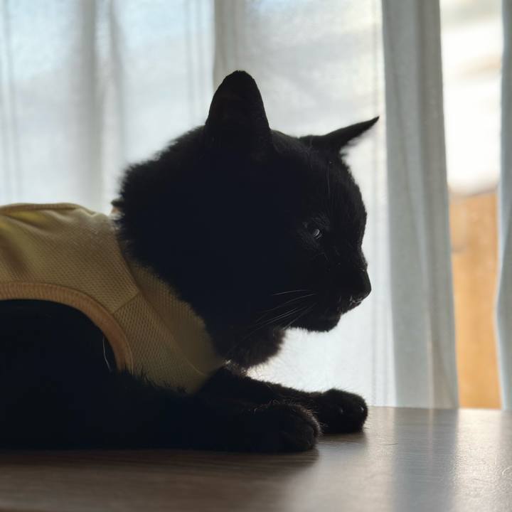 35d59524 8ea5 4355 bf04 405bcabfef6b 1720320855286