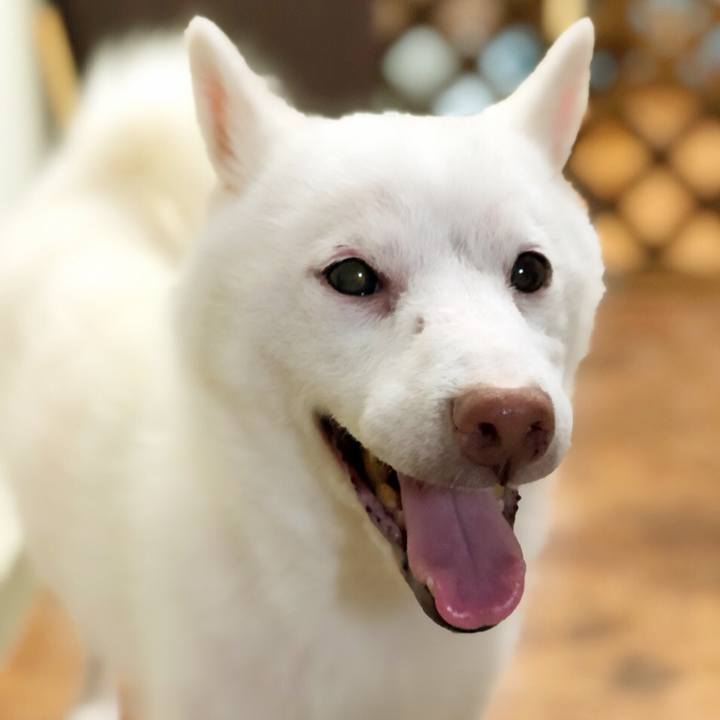 35d59e40 d9bb 4d64 ae1d dd95f1a846e4 1564221693277