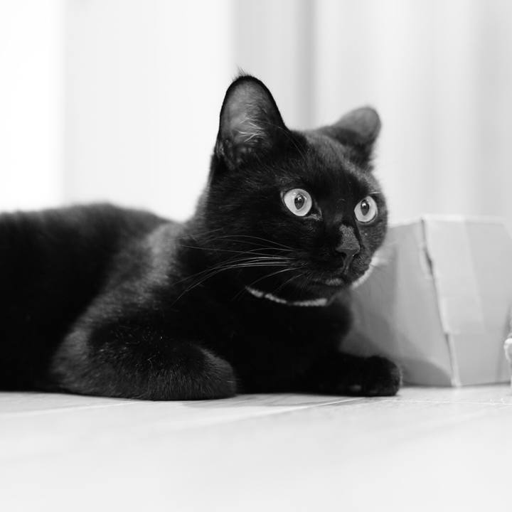 35d5e534 b51e 4b5c b828 a1540a98f3cc 1532993390373