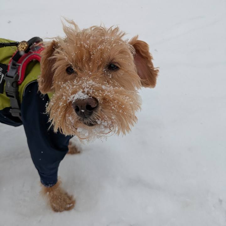 35d5f191 2108 4660 b542 fab2a7ba3ce6 1736075916688