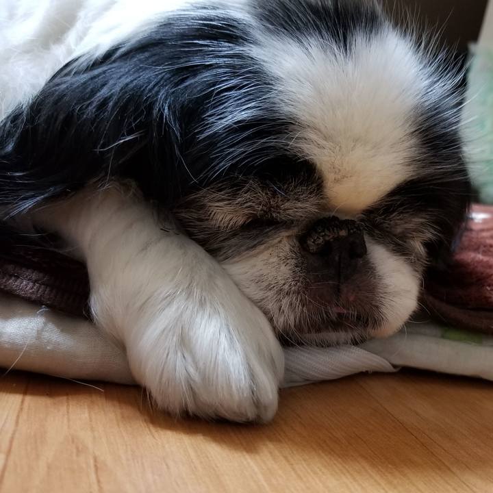 35d5fcd6 94a8 4c1f 9e23 b03e47e385b5 1551959816416