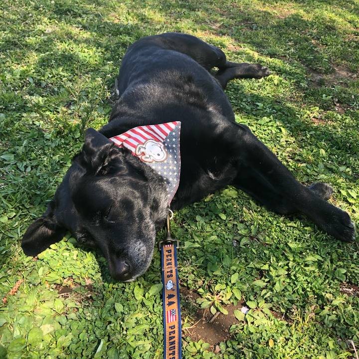 35d6244b c254 4b3a 8961 98764d4c9c27 1555376959094