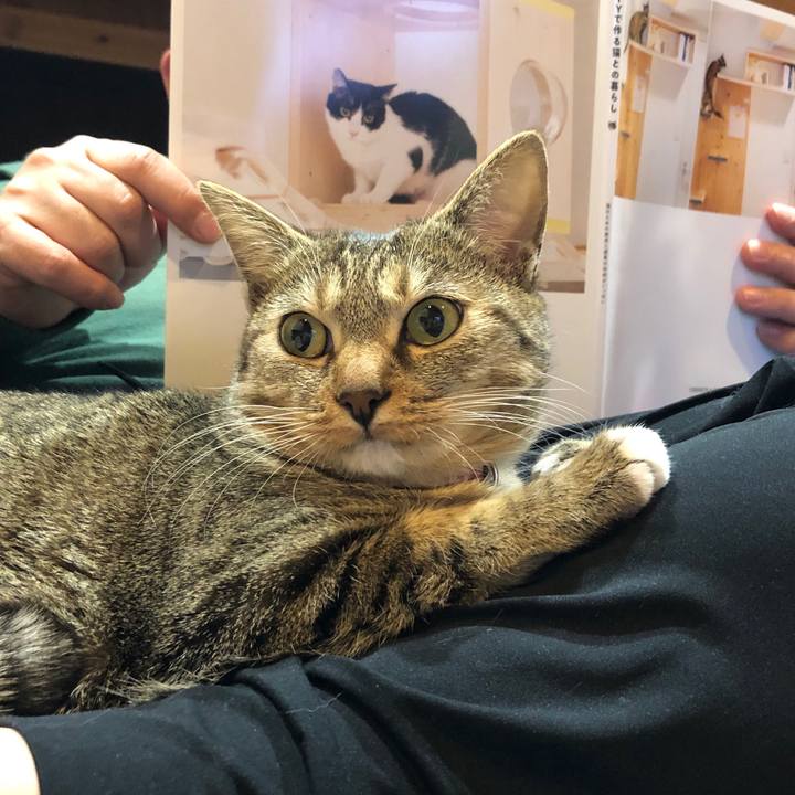 35d62b21 30b0 4a7e b8ad 2dfb41f09cff 1616845773687