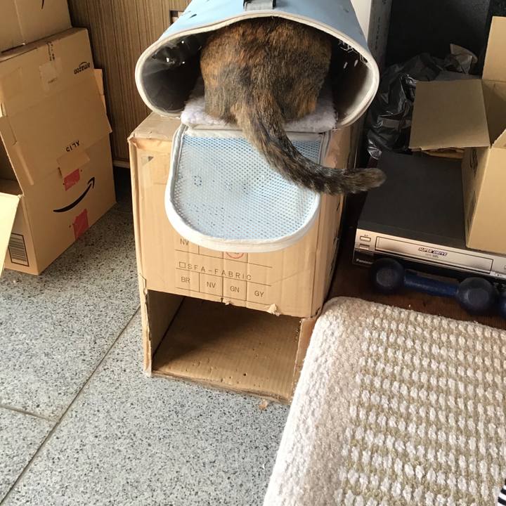 35d62ea3 f96b 4cc0 b2fc 1679c810e69c 1612944133453