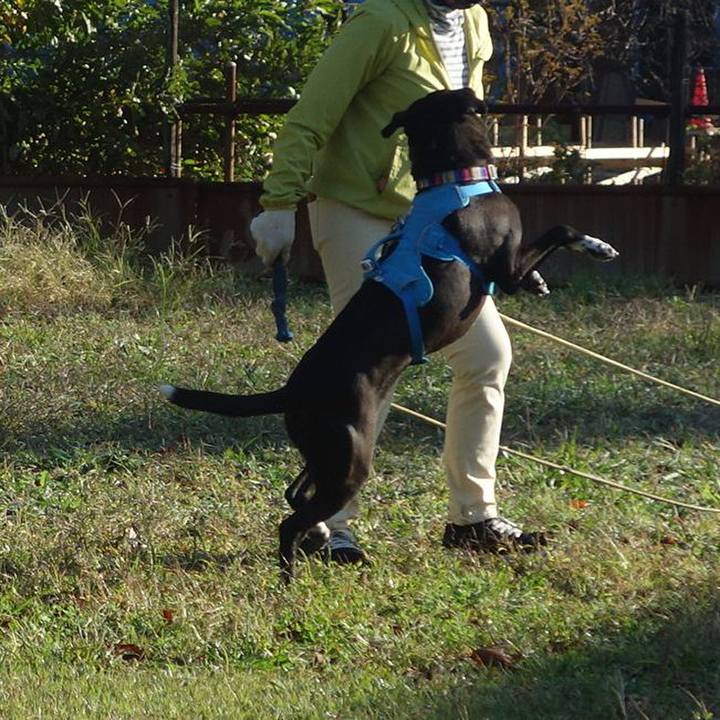 35d65640 32ac 4df3 b100 79cc7d8f9bd6 1636071277162