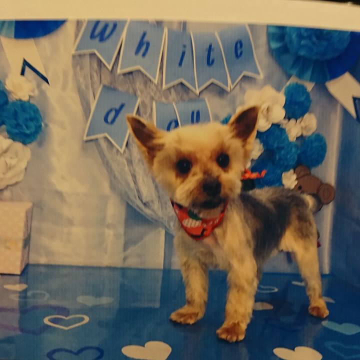 35d674ee 4b92 4983 aa0e c052a31ceca2 1552204932452