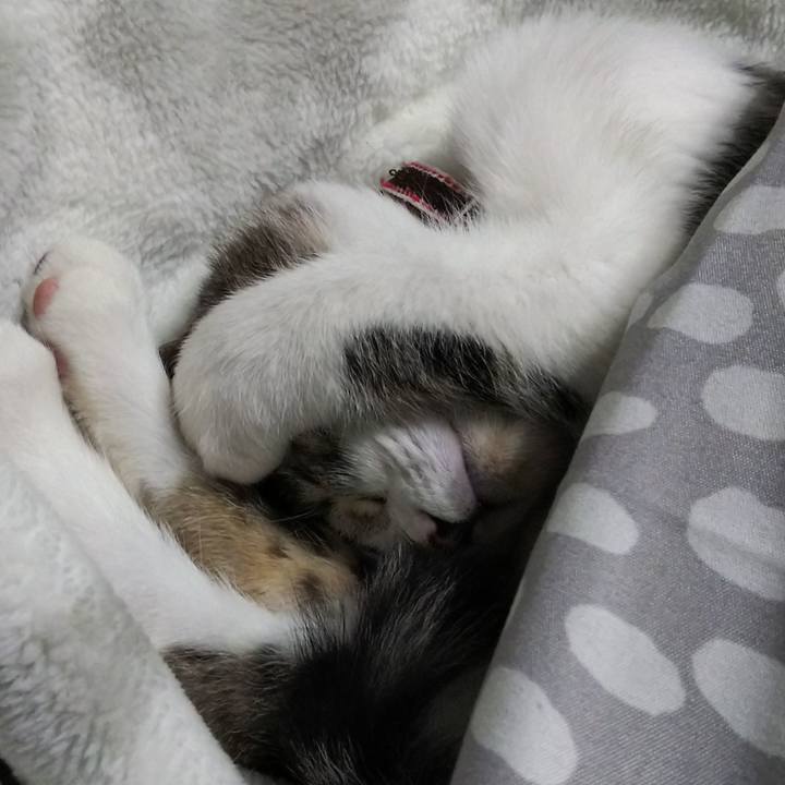 35d69ff3 fd78 49a9 9bb4 382153bf8d54 1611391516185