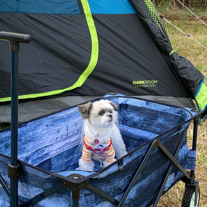 35d6a246 2640 4d1c 939d cd3a9d0d1183 1556862874005