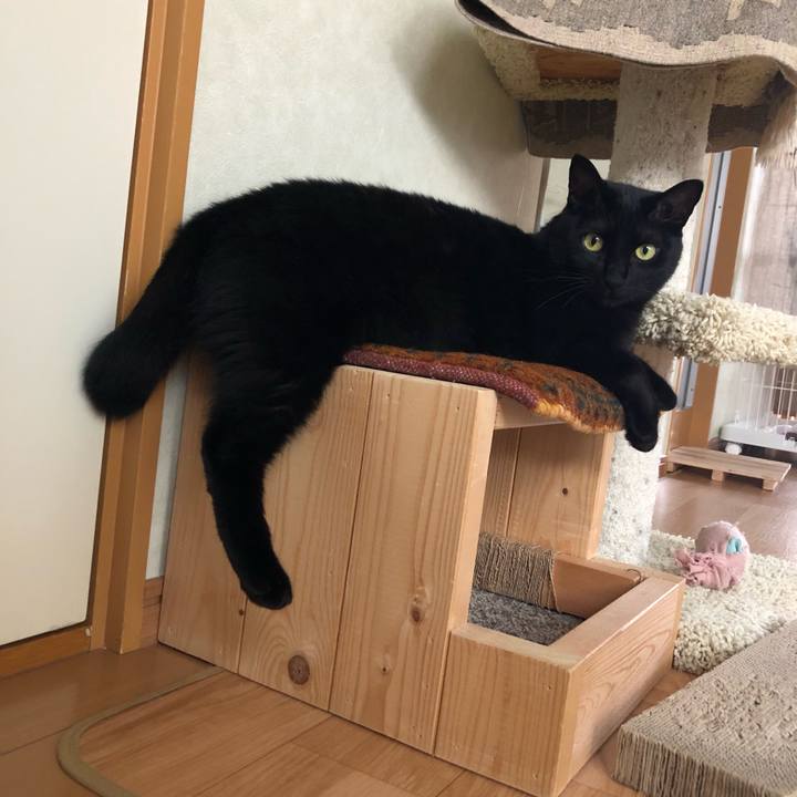 35d6b0ca 561d 4776 b608 b41cd4d4a2e5 1560298138912