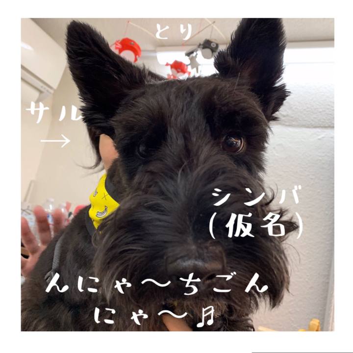 35d6eb57 bcc7 493f 8522 bb3b911dba8e 1566818183705