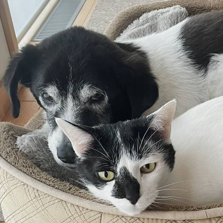 35d6f10a 8f2d 4f46 8ffc ea7ff560a3dd 1760265378256