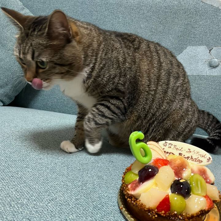 35d716f2 60d9 4494 a8c0 a5d414c096ee 1694179344786