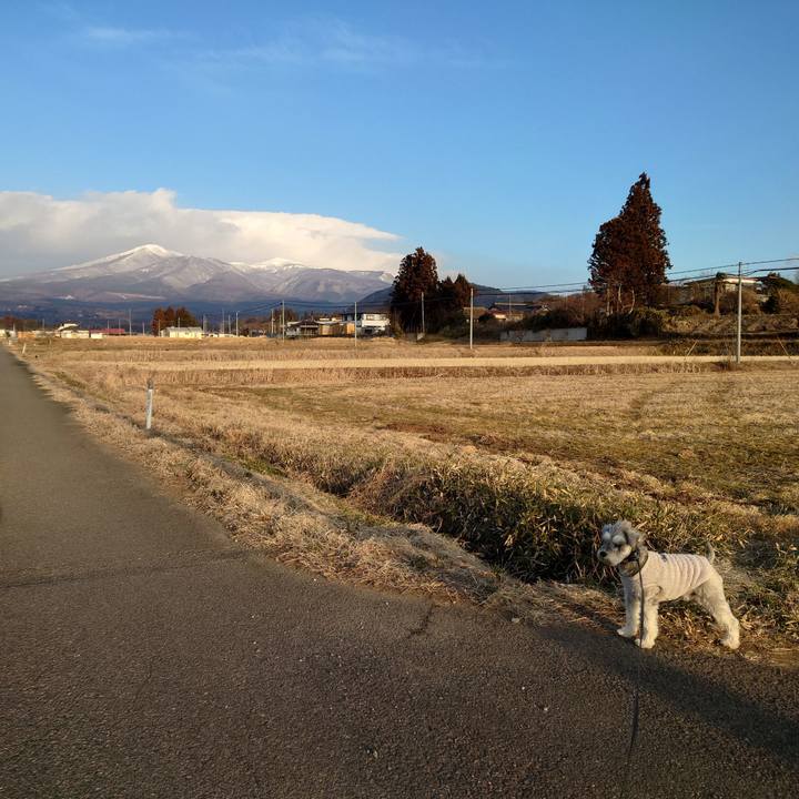 35d7377a 8e48 426a 9ab5 72fa92977e9f 1770333679247