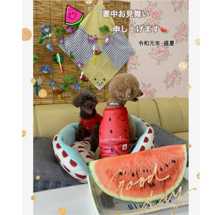 35d74076 7724 4e99 b198 b96c7fc652b1 1564400683298