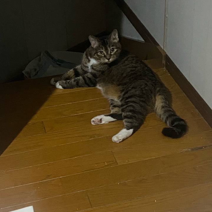 35d75153 c391 4c4c bfa3 e2241a7f49e7 1722699182217