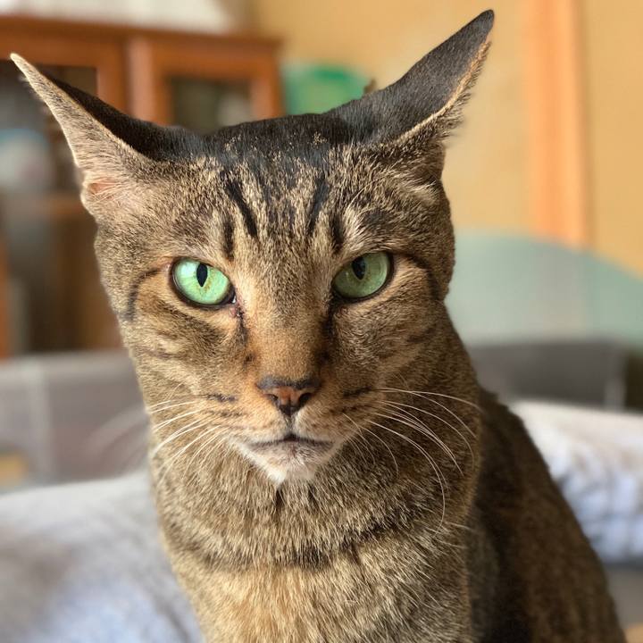 35d75a7a 9c00 4ff2 a35e 78a984ef9064 1566088755371