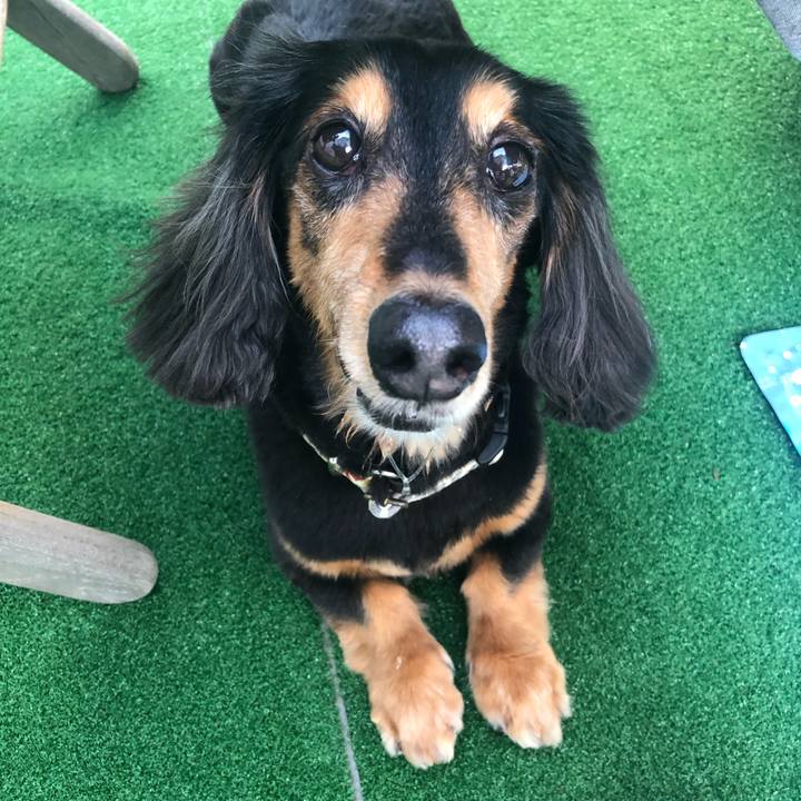 35d77689 3ad5 4125 9900 cf1fc7329eb5 1590205833566