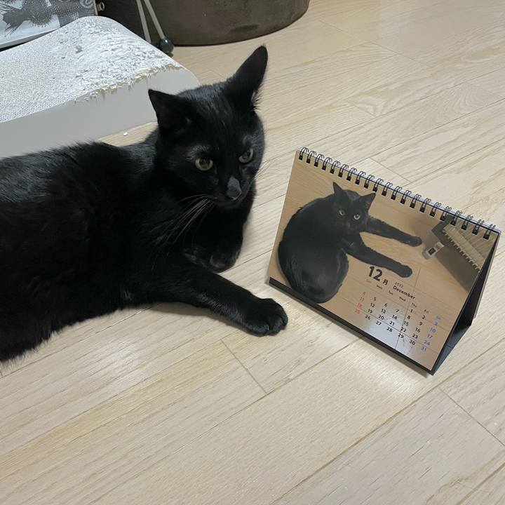 35d7824f 63ea 4a3a ae2b cc81853f028d 1672154254109