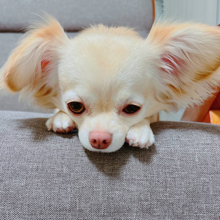 35d7a23a 9887 48e7 9455 25bb72f626df 1655530307130