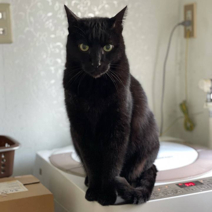 35d7d980 dff3 40e7 a67a fb68d6b98024 1615168583197