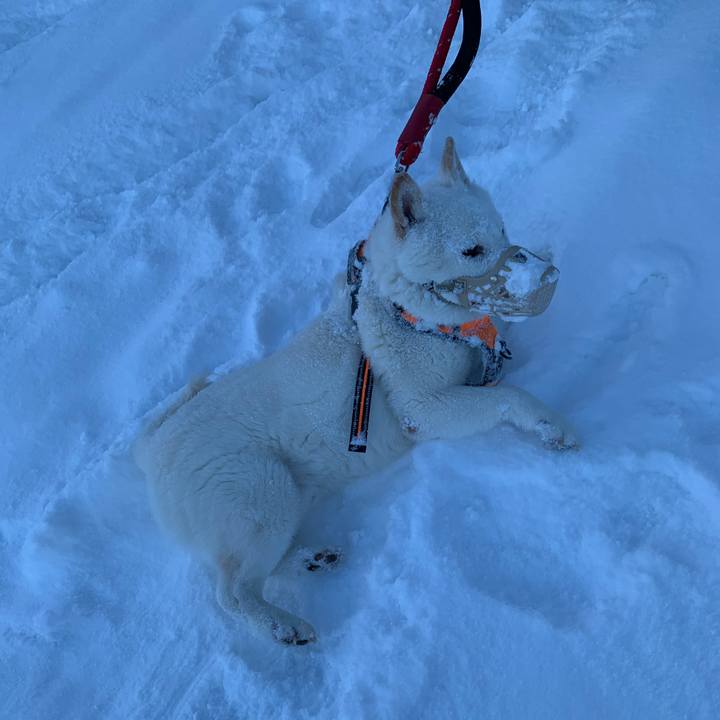 35d852a6 17e7 4b42 8689 66c2df569bfd 1674947402393