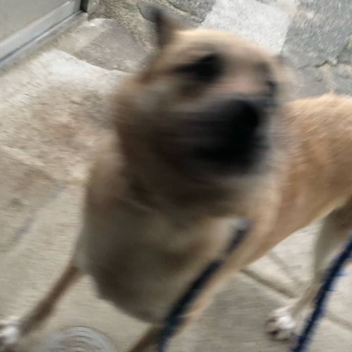 35d858e6 7695 43e1 8d7f ef362789065e 1614686700088