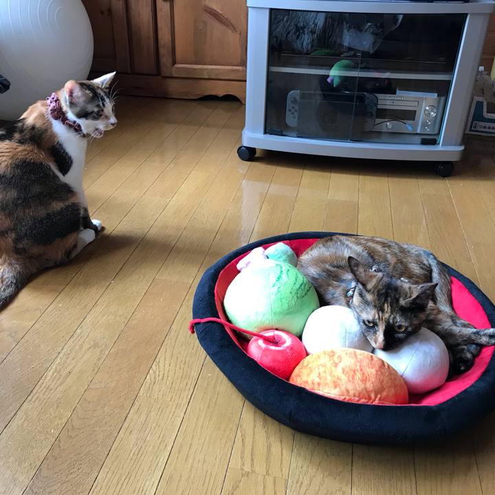 35d86b76 5ce9 46cd a6b0 29e6de3b6166 1625527497748