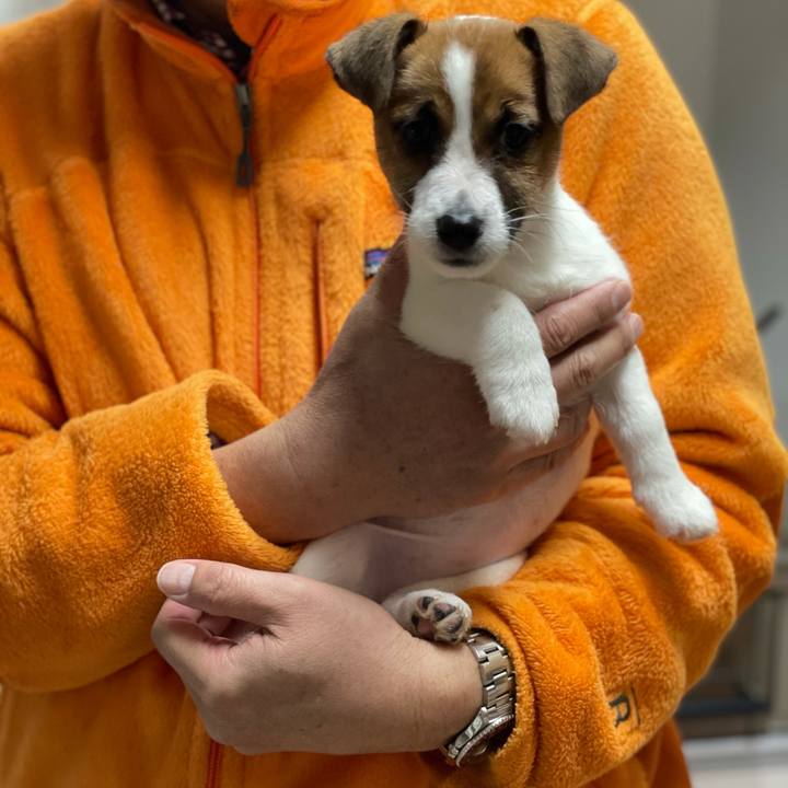 35d86e8f 72dd 4faf a0e0 b9cffe443c81 1616203322926