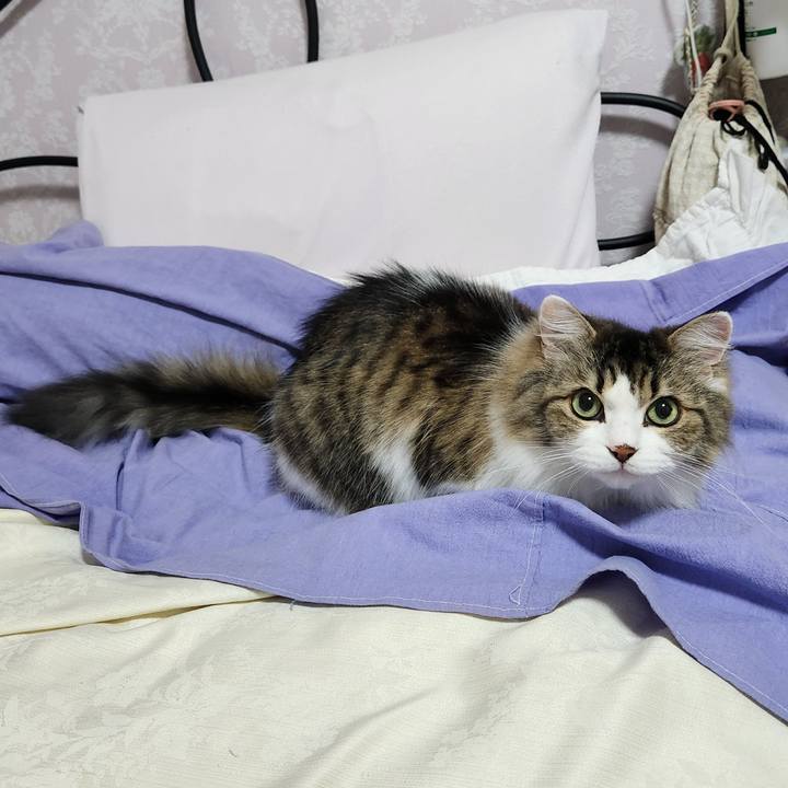 35d87a66 8bf7 4543 bbd1 aca72e241608 1696758146367