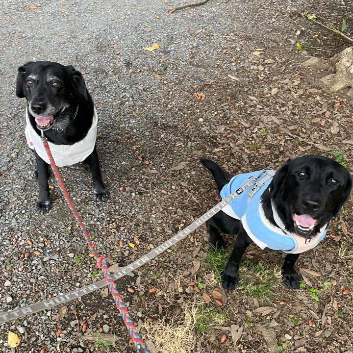 35d87dc9 8701 406d 990c 0478d43b3d8b 1635147017466