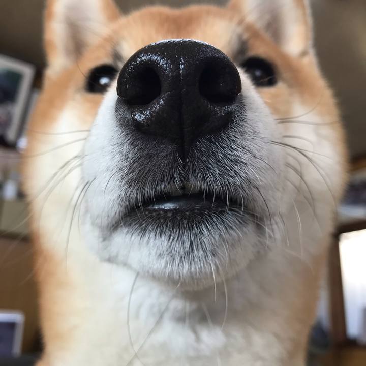 35d8d531 590c 4e46 aa97 3f198574b65f 1584947133251