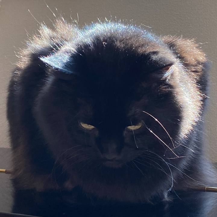 35d91a76 aea8 415b 810f c2c34e2d6598 1601391600806