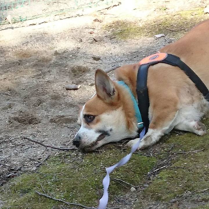 35d9411f 93b9 4b0d a3c1 2135d8a2bc8d 1677453104621