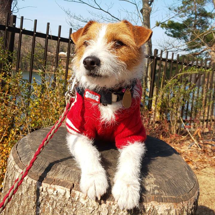 35d94e57 973d 455b b7b3 07702e65bc31 1551536135741