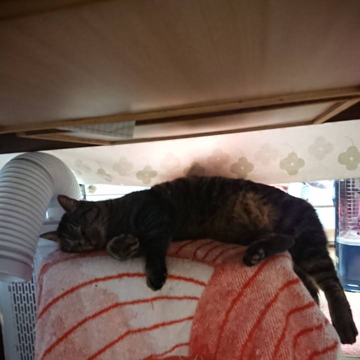 35d9588b 58e2 4670 8be2 ebb433ee605a 1638395297838