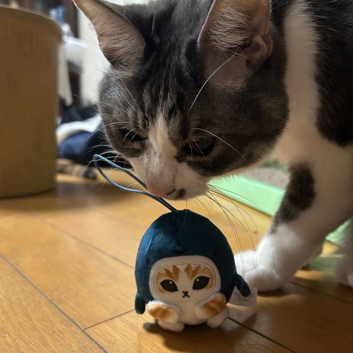 35d98052 968a 4131 996e 0aa71fec51e9 1774269747613