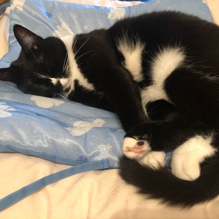 35d980e8 6463 4bd9 a997 a979d057c6c5 1592344519797