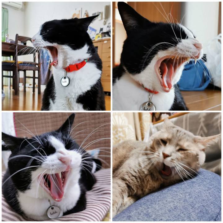 35d98789 82e3 4901 8d3f 0fa5ae594226 1668485825295