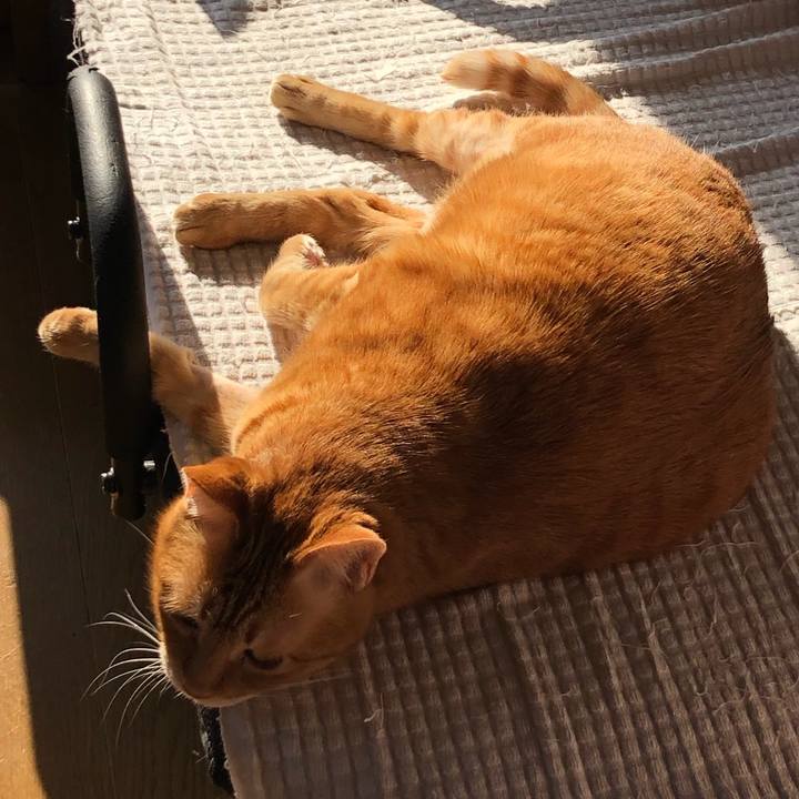 35d98c3d d065 459e b636 0e0ed57d5278 1652134496787