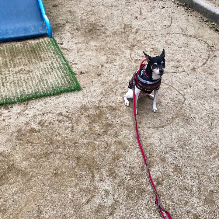 35d99eb5 315a 446b 8621 d55fd6323c3d 1552179070730