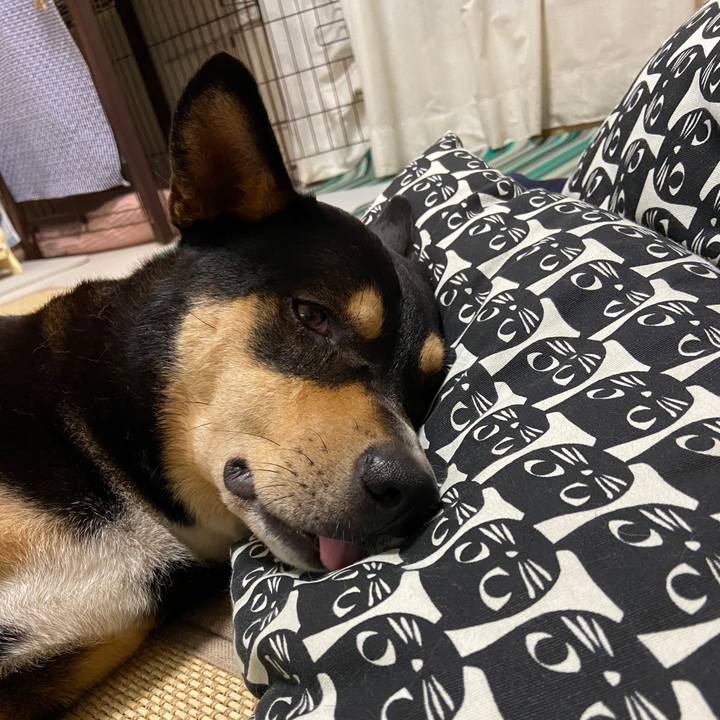 35d9a891 f63f 4a0b 9847 6634049fac80 1600437663272