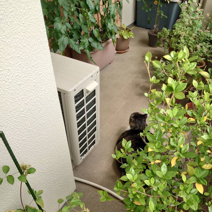 35d9e77c de5c 4f7f 874a fede25a0b32c 1591919751142