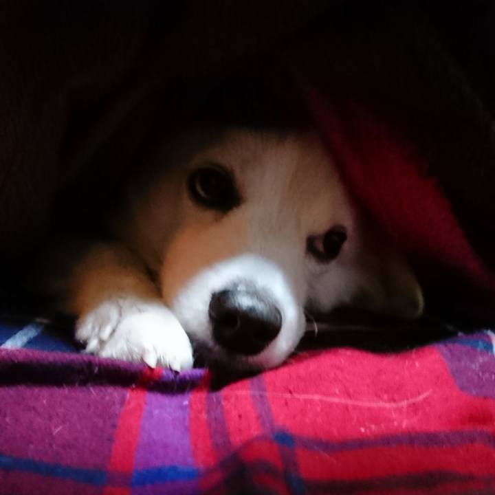 35d9eb14 e201 495d 94c4 739ca45fbce3 1515270428598