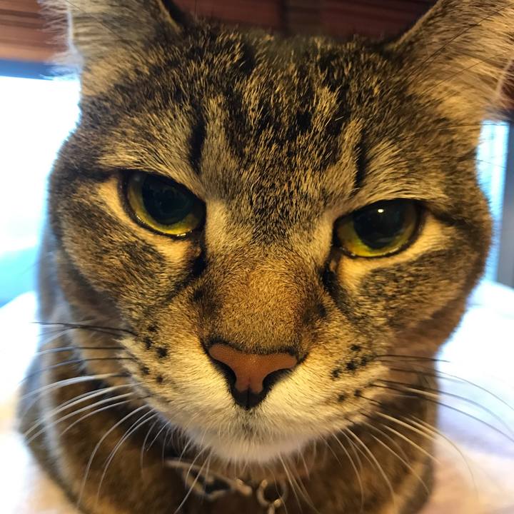 35da1340 c1eb 4c0e 843f 8d3596b9381d 1552203048847