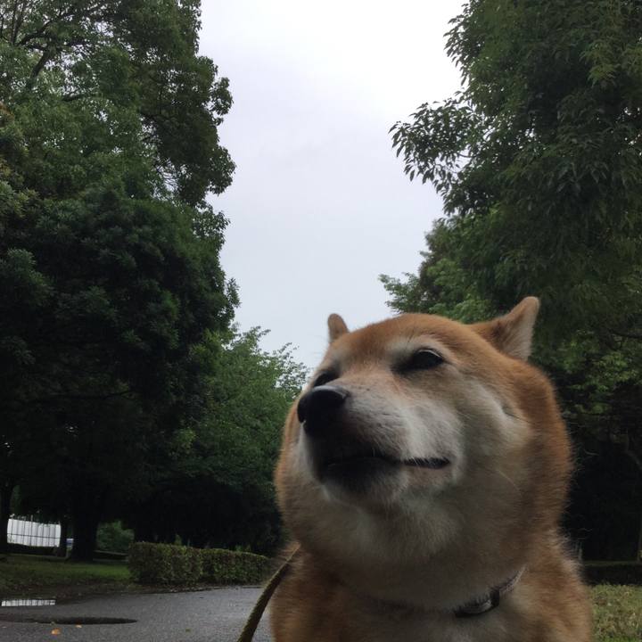 35da1853 a12d 4588 9716 bac3b5408c6e 1594361713146