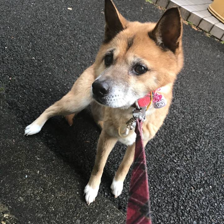 35da2e42 260b 479c a0c7 5e9ff19844ed 1516230222923