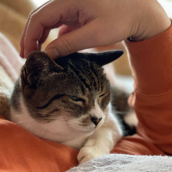 35da7f42 d758 4595 9834 5eefc9e86334 1650764956660