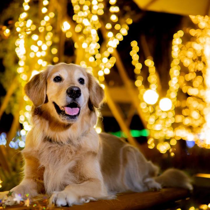 35dac4b2 22fb 4d8d beea af0387196f42 1640876704665