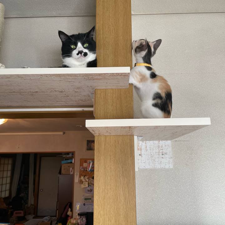 35dada74 f3b6 4b26 8369 805ff341ac7b 1659046741308